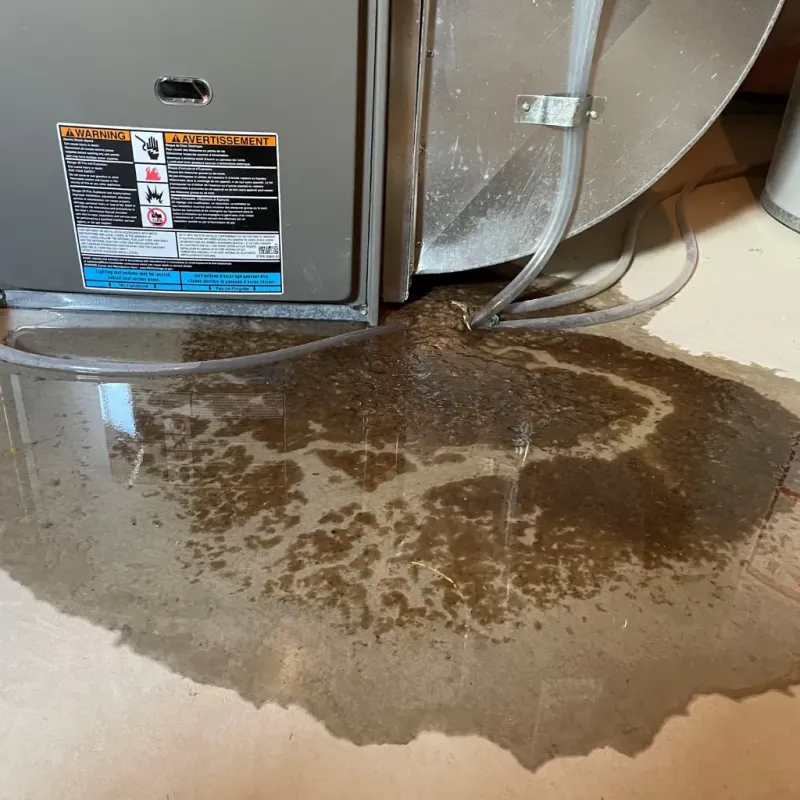 Appliance Leak Cleanup in Stockbridge, GA